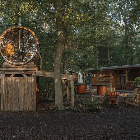 Tinyparks Forest Cabins Hoogersmilde Buitenkant foto
