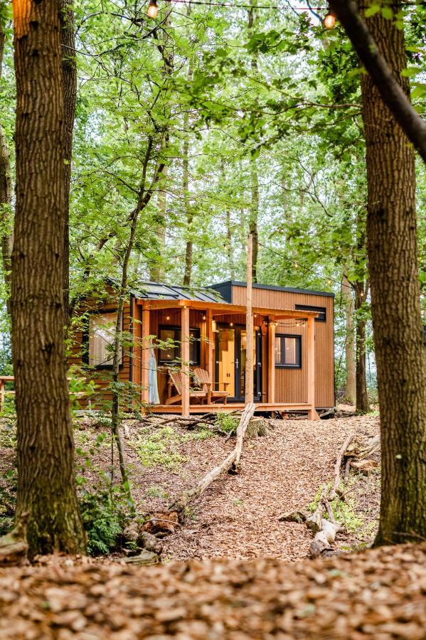 Tinyparks Forest Cabins Hoogersmilde Buitenkant foto