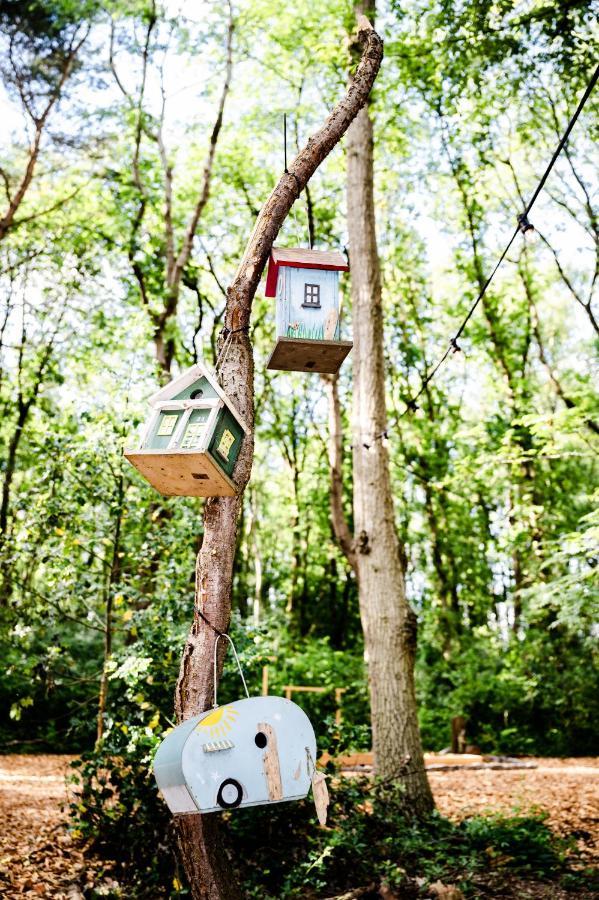 Tinyparks Forest Cabins Hoogersmilde Buitenkant foto