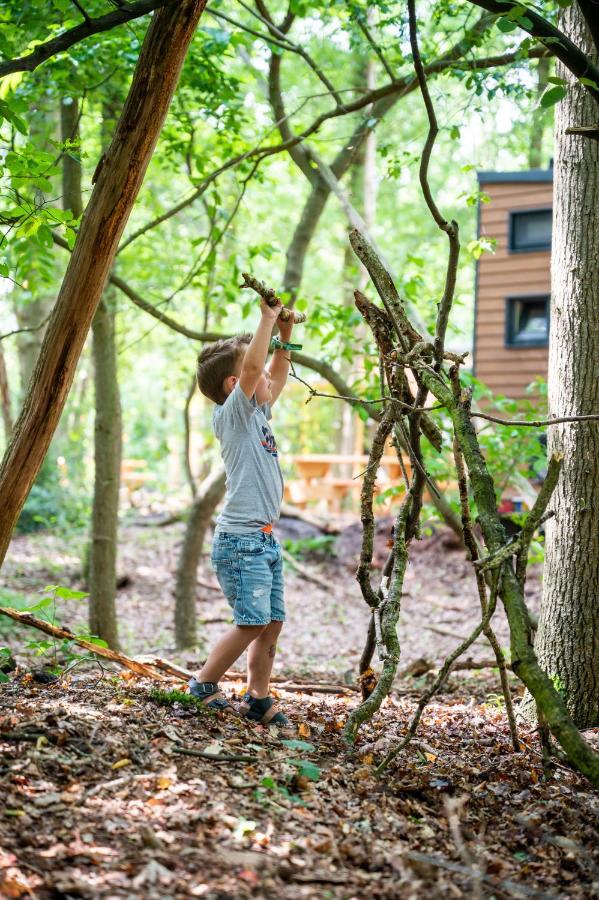 Tinyparks Forest Cabins Hoogersmilde Buitenkant foto
