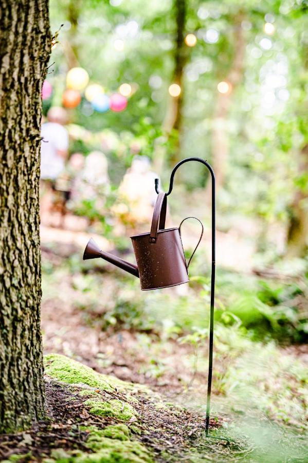 Tinyparks Forest Cabins Hoogersmilde Buitenkant foto