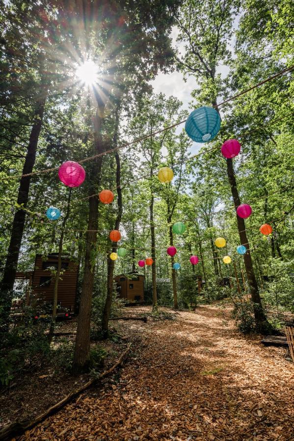 Tinyparks Forest Cabins Hoogersmilde Buitenkant foto